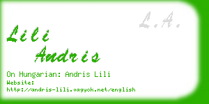 lili andris business card